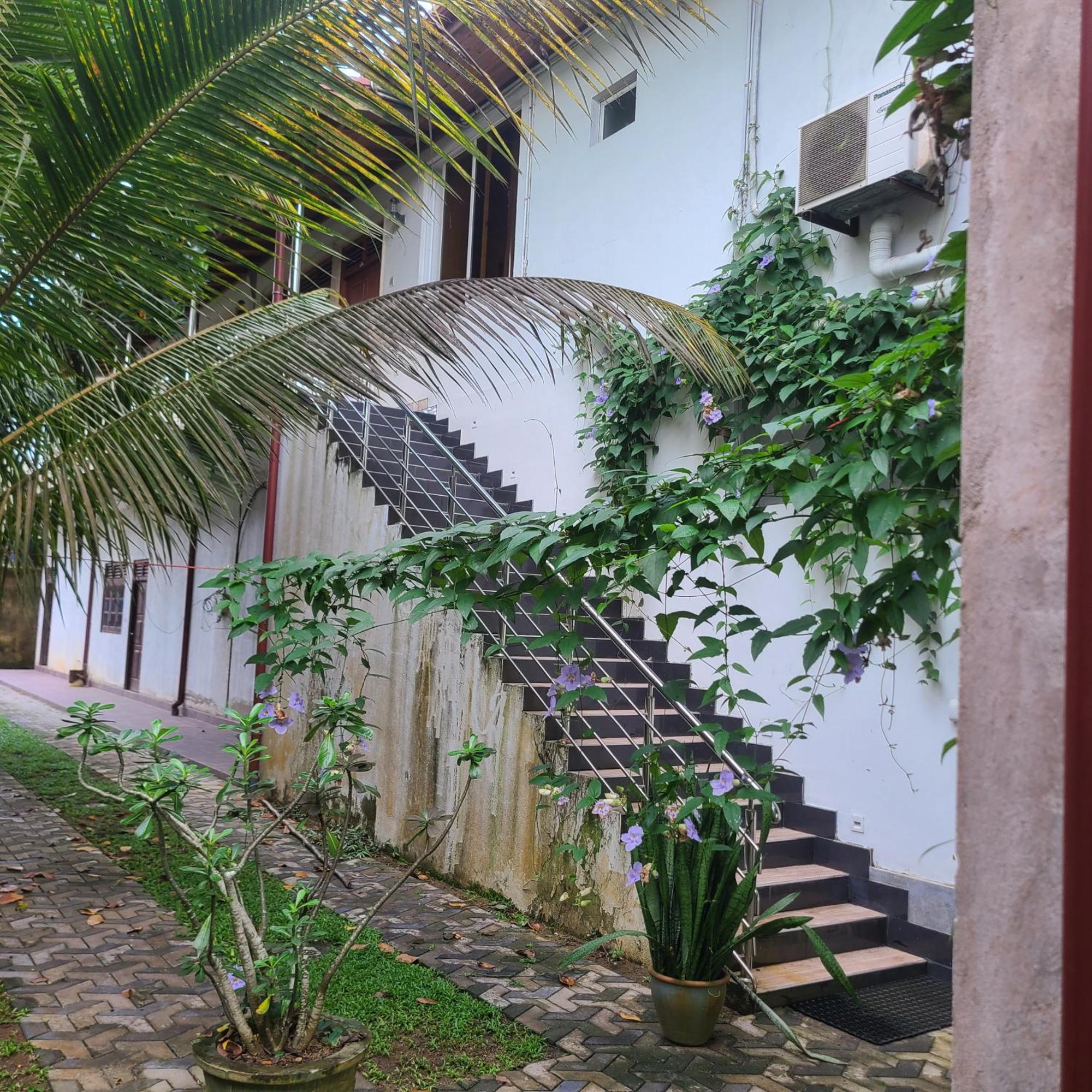 Gg Lodge Mirissa Luaran gambar